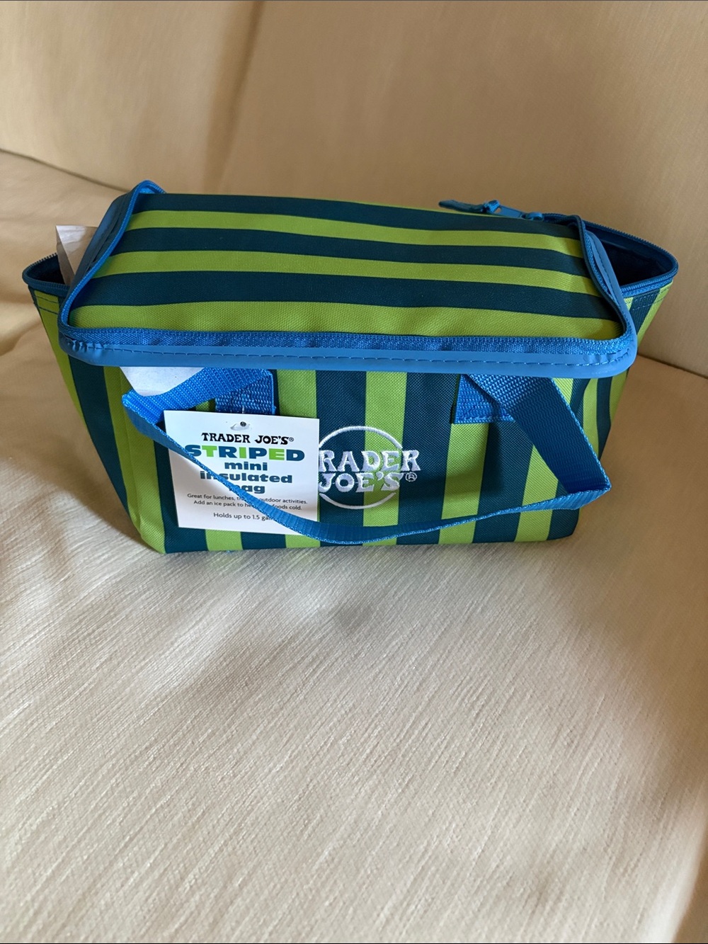 Trader Joe's 2026 Summer Series Insulated Mini Tote Bag Blue Green Stripes NWT